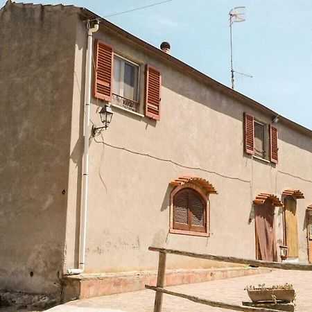 Podere Barlo Daire Campiglia Marittima Dış mekan fotoğraf