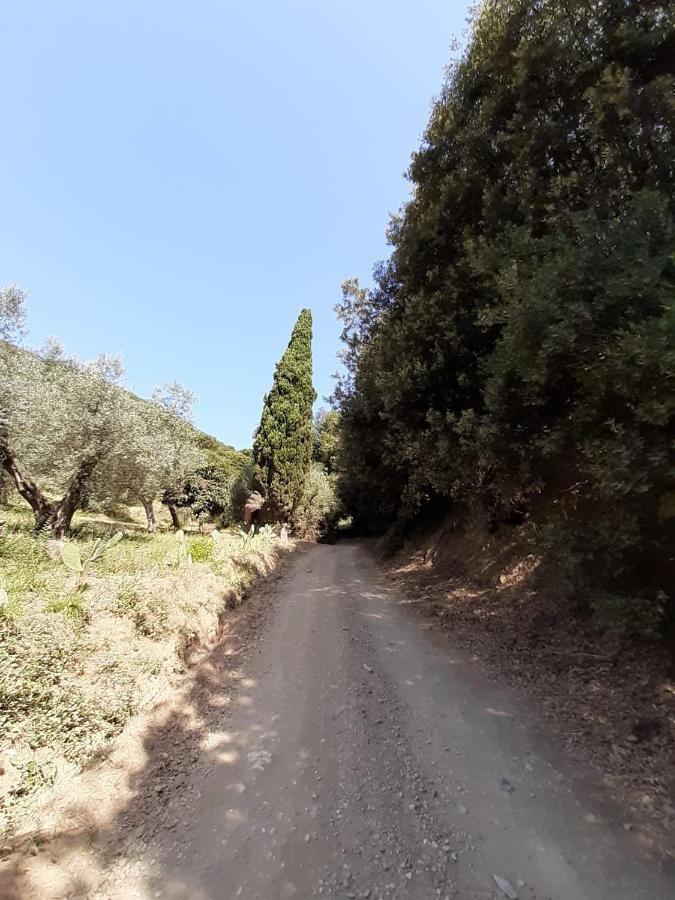 Podere Barlo Daire Campiglia Marittima Dış mekan fotoğraf