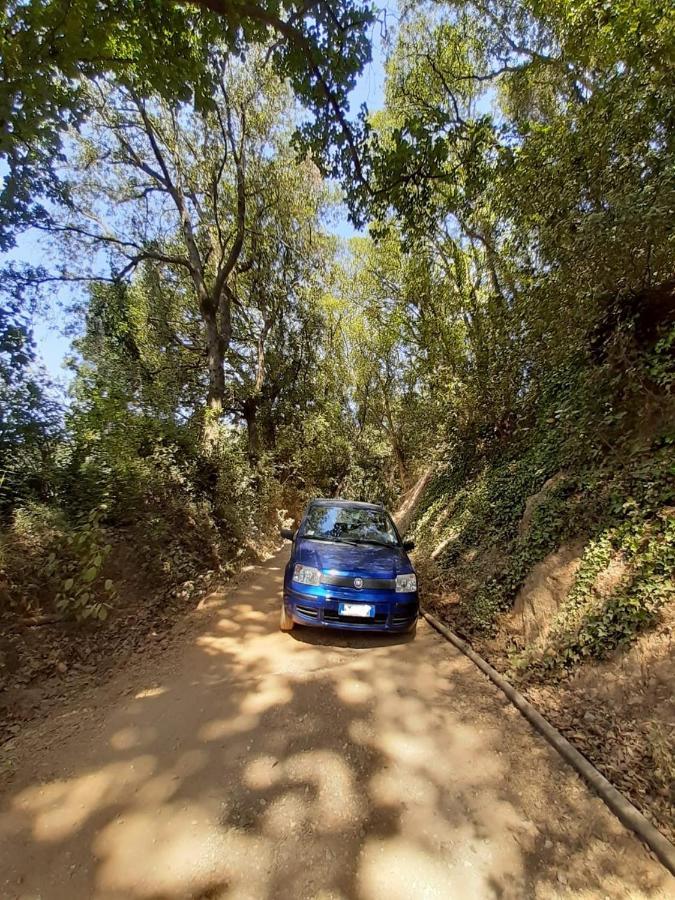 Podere Barlo Daire Campiglia Marittima Dış mekan fotoğraf