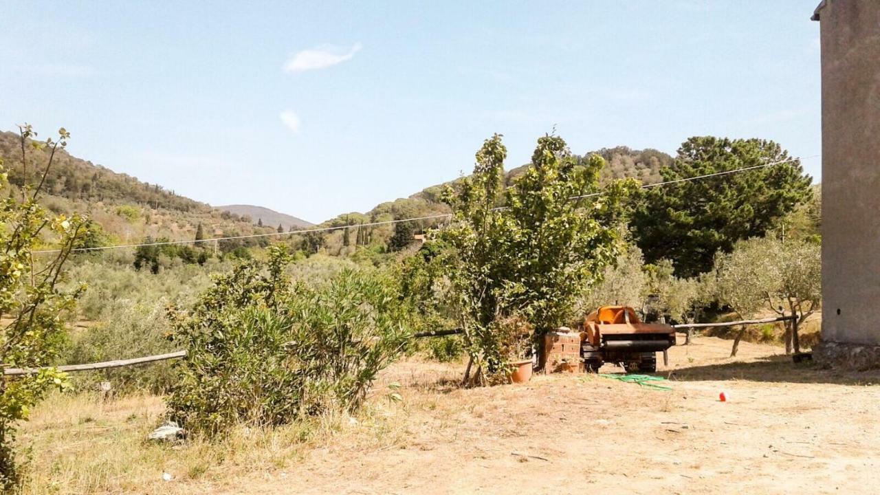 Podere Barlo Daire Campiglia Marittima Dış mekan fotoğraf