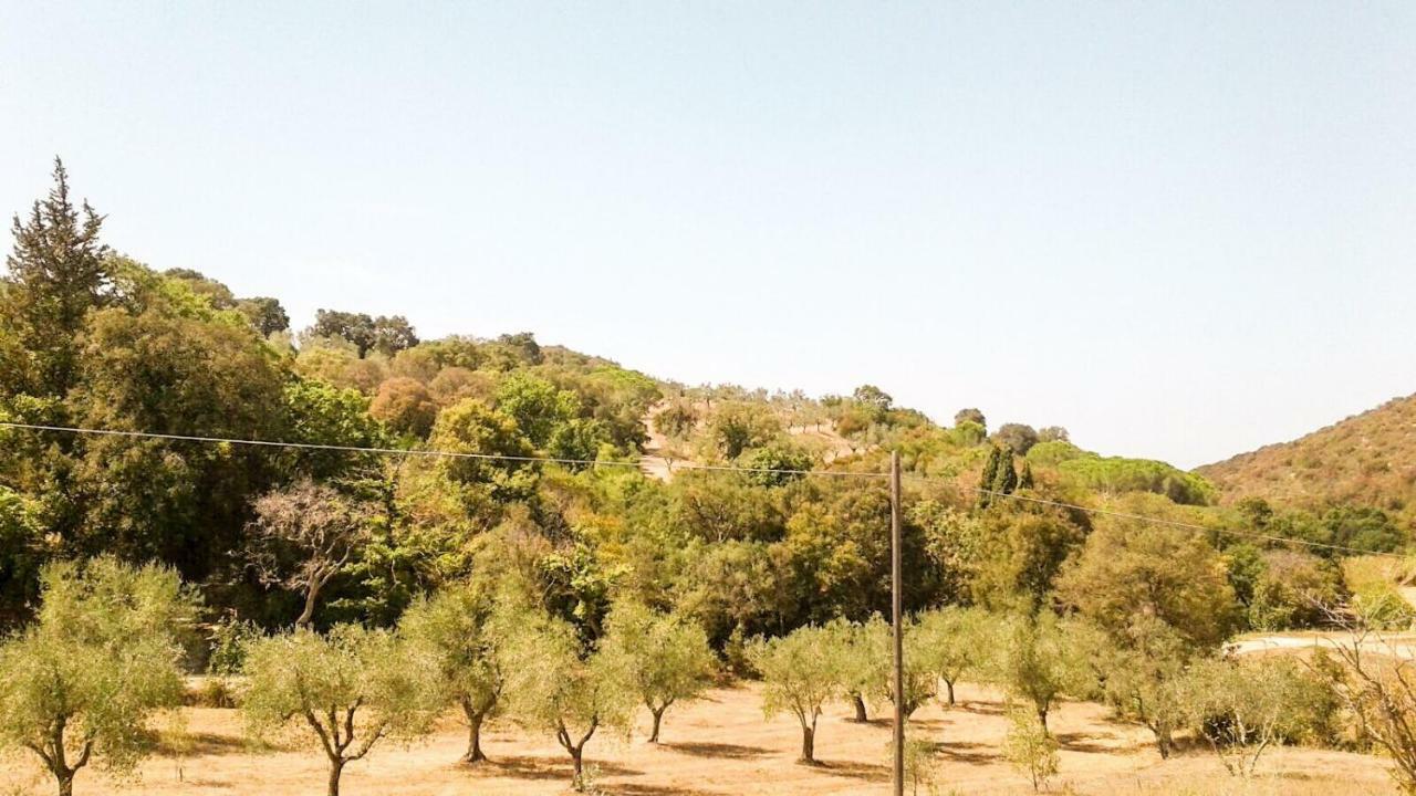 Podere Barlo Daire Campiglia Marittima Dış mekan fotoğraf