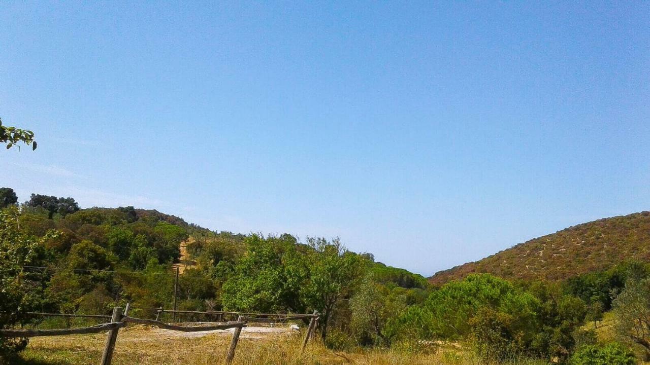 Podere Barlo Daire Campiglia Marittima Dış mekan fotoğraf