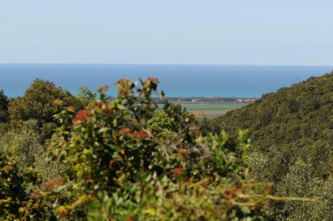 Podere Barlo Daire Campiglia Marittima Dış mekan fotoğraf