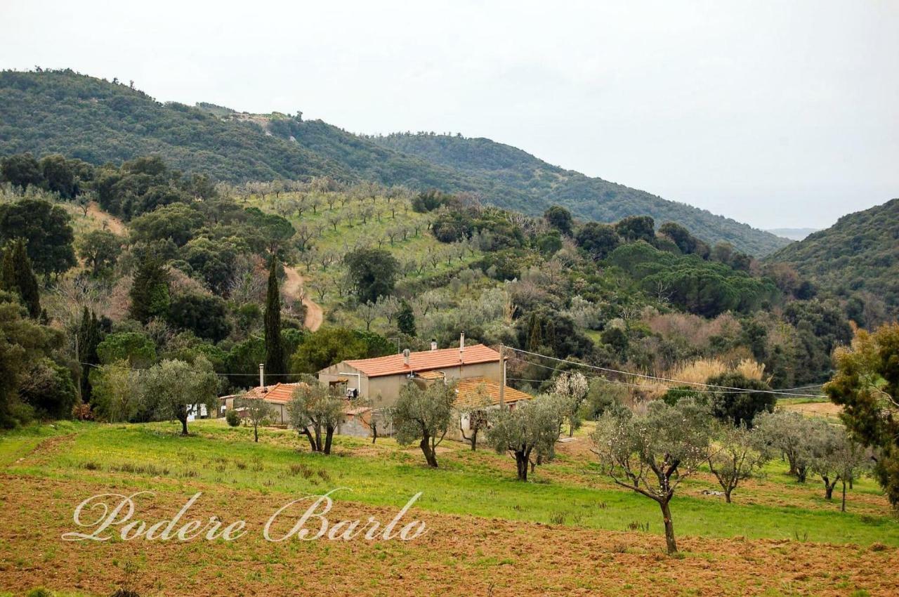 Podere Barlo Daire Campiglia Marittima Dış mekan fotoğraf