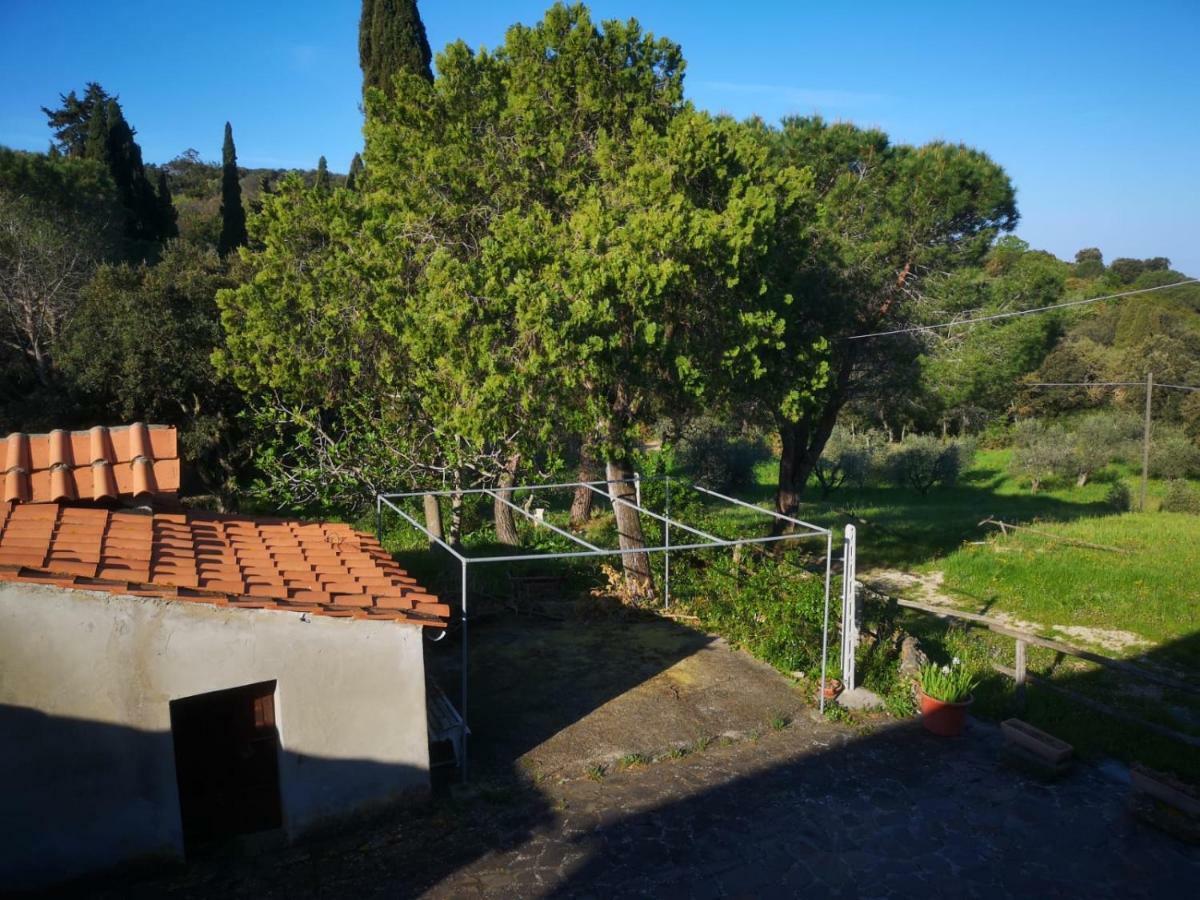 Podere Barlo Daire Campiglia Marittima Dış mekan fotoğraf